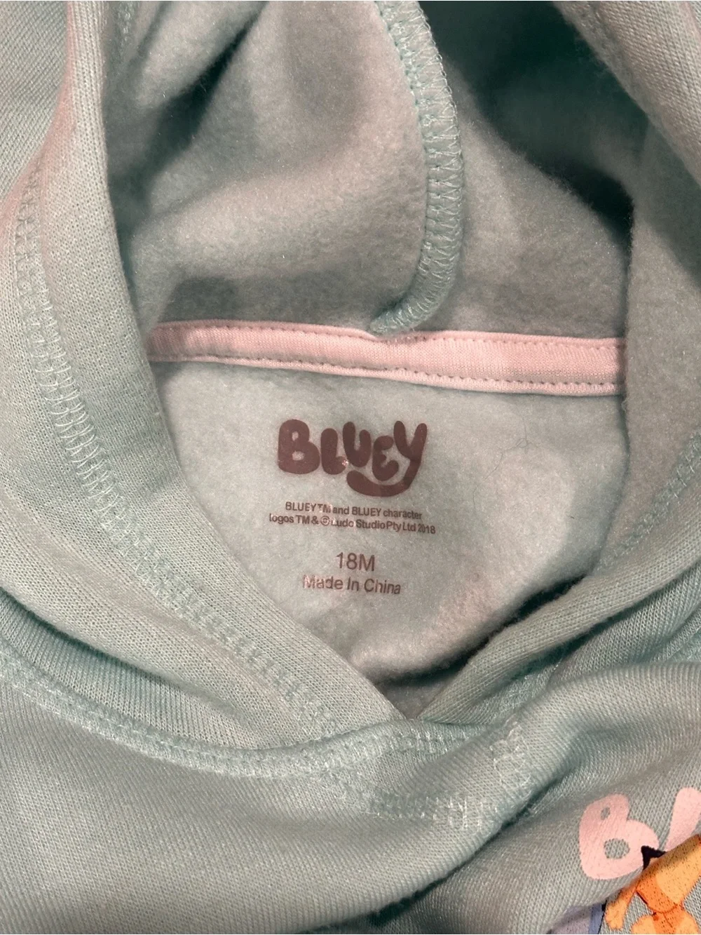Bluey & Bingo Teal Hoodie and Jogger Set